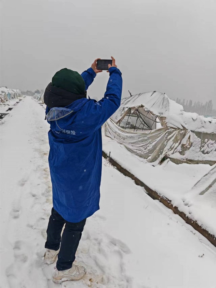 1707209300880418.jpg 3.jpg