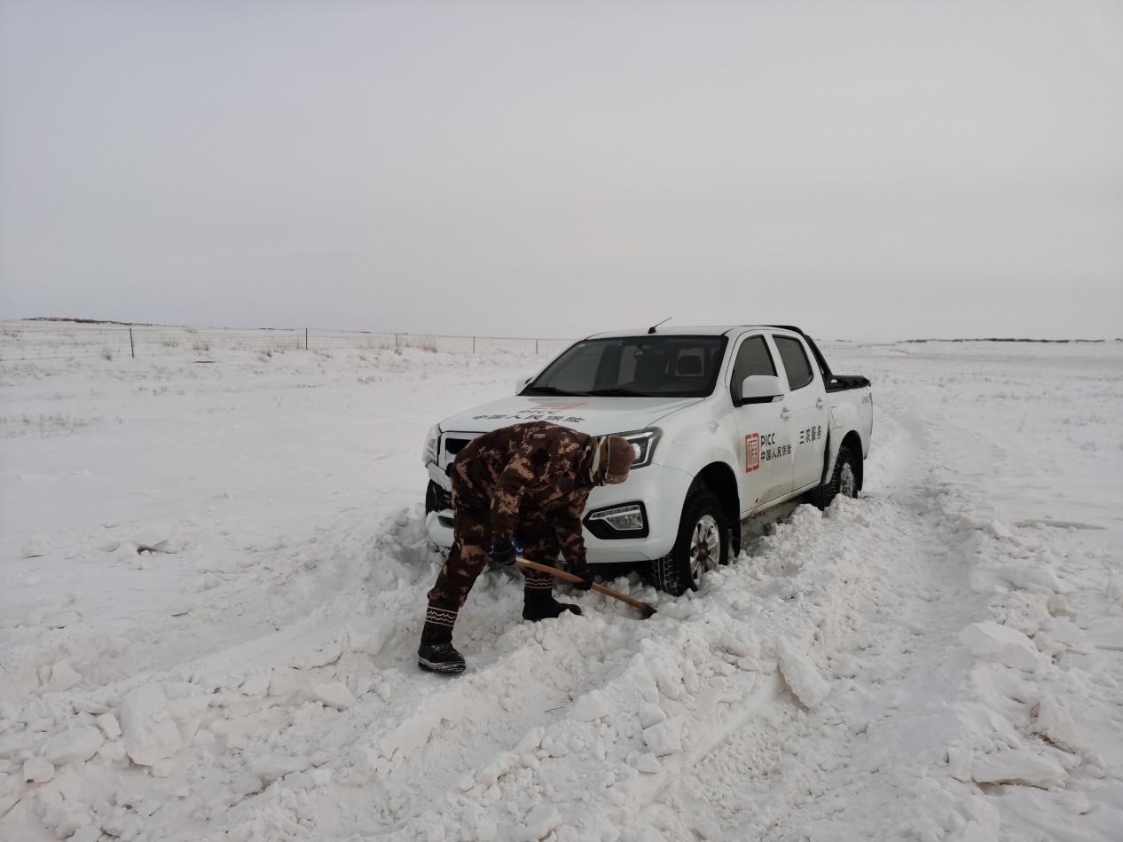 1713774336910577.jpg 暴雪查勘图片1.jpg