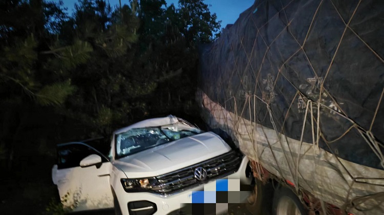 1717656688372980.jpg 救援图片 (2)_proc.jpg