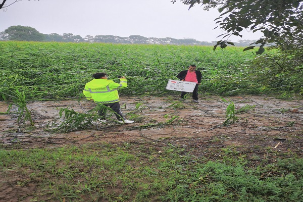 1724204328604179.png 图片4.png