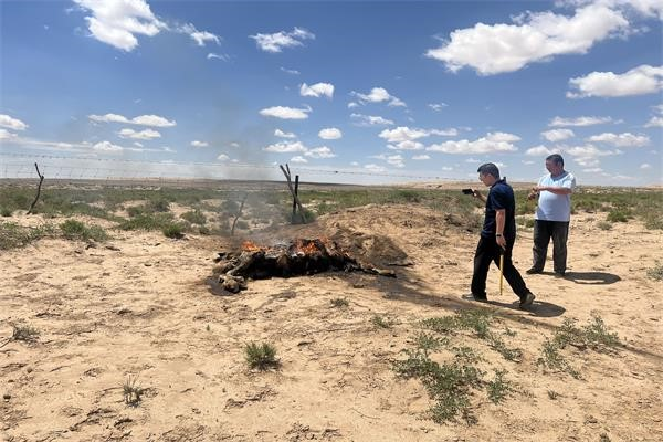 1725245567526979.png 图片1.png