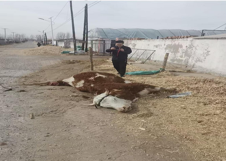 1771979333165754.png 图片9.png