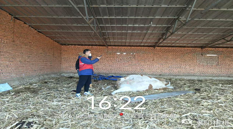 1771979844133872.png 图片19.png