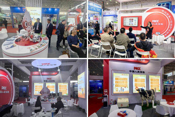 1775207120829175.png 图片1.png